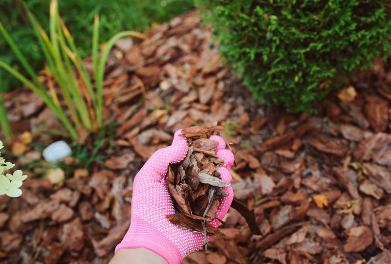 landscaping tips, photo of dark mulch