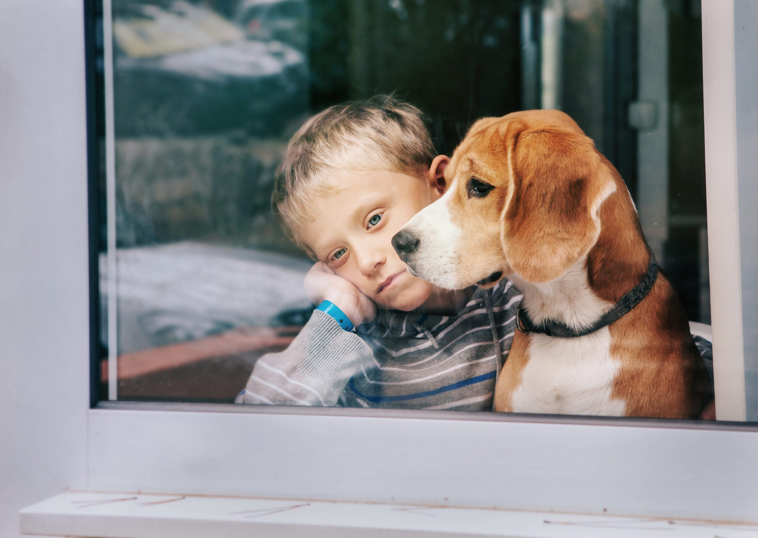 boy and his dog looking out the window